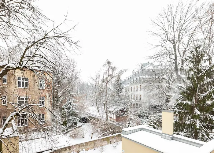 Native Sarego 16 * Krakau